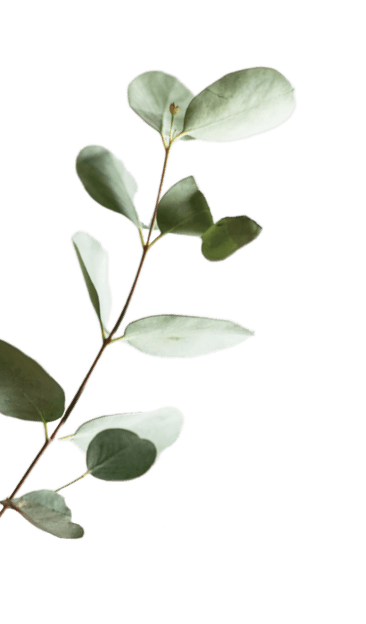 Career decoration image