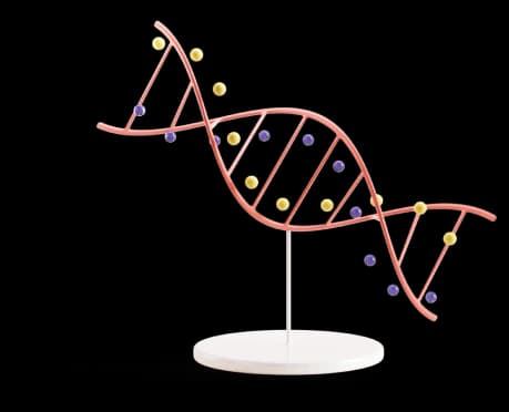 Genetické vyšetření páru